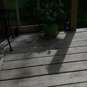 Meet your Posher, Vicky